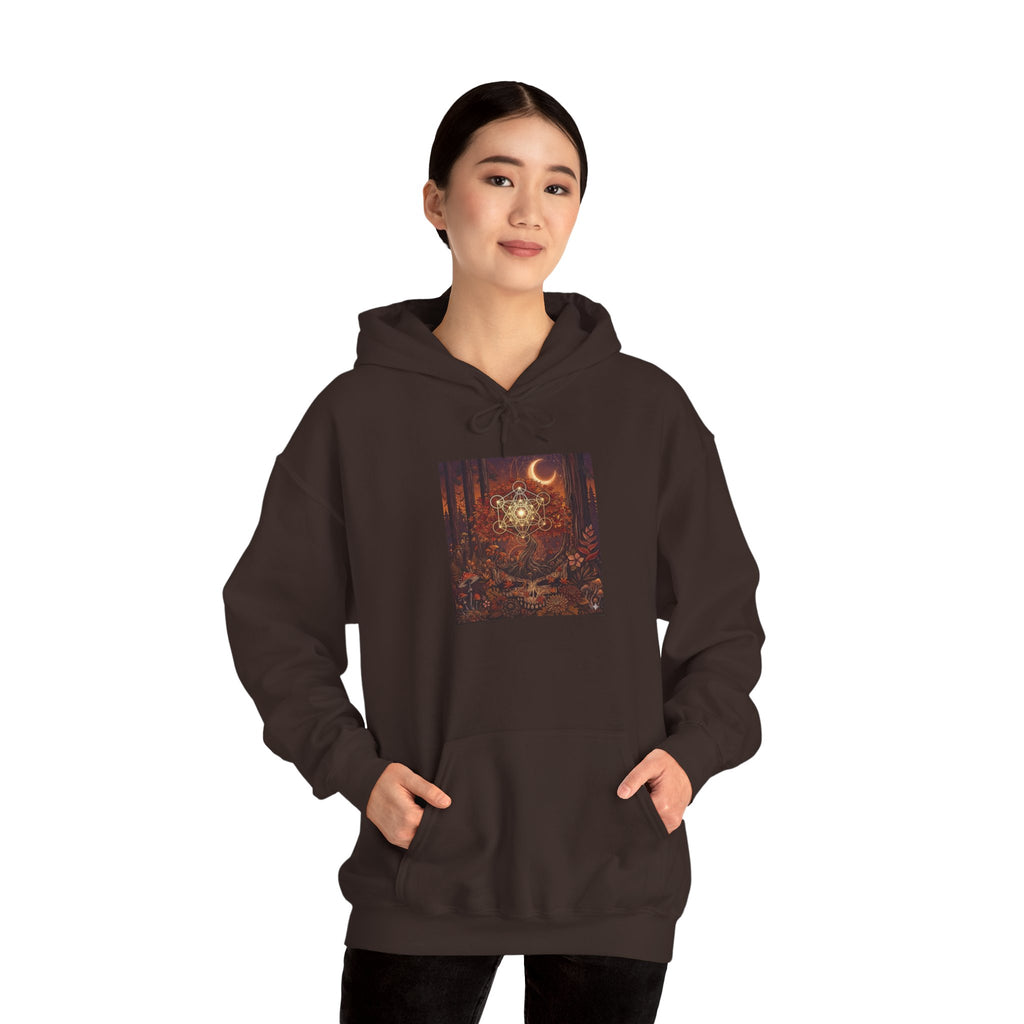 Mystical Moon Forest scene Hoodie | Crescent Moon Owl Night Illustration, deadhead gift