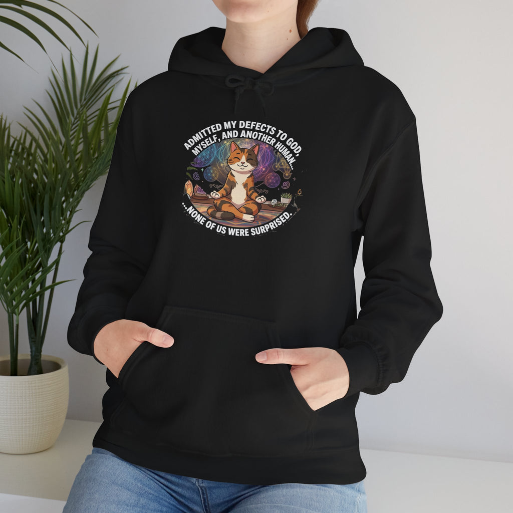 Meditating Cat Recovery Hoodie Funny NA Quote Spiritual Principle Graphic Sweatshirt Sobriety Gift