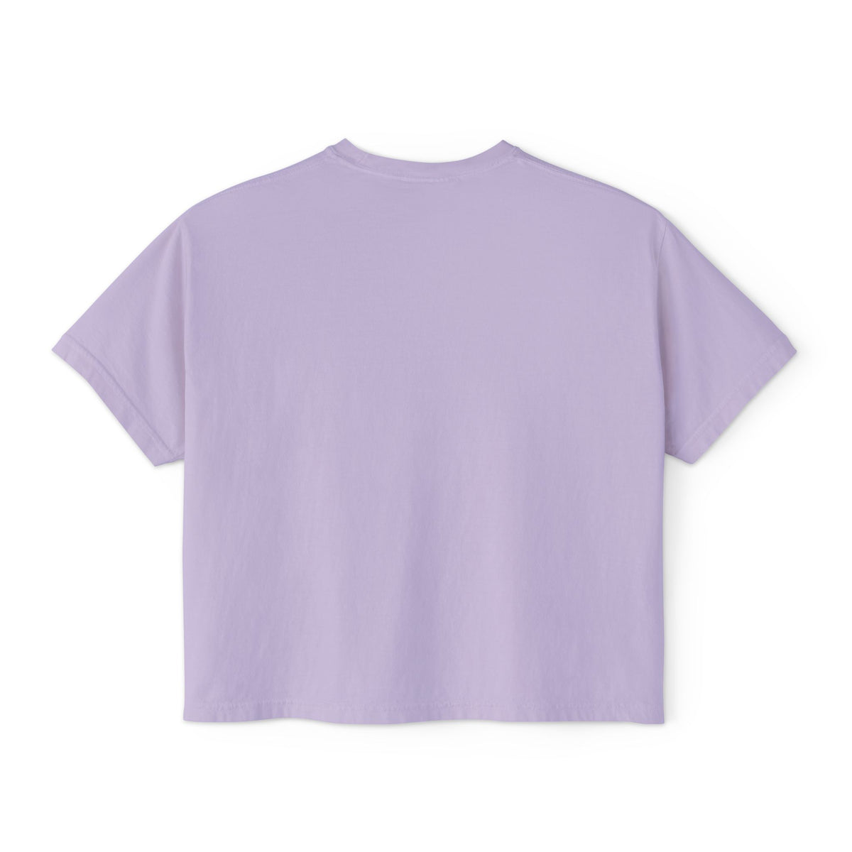 Moth with Moon Phases Tee | Wild & Free Boxy Tee