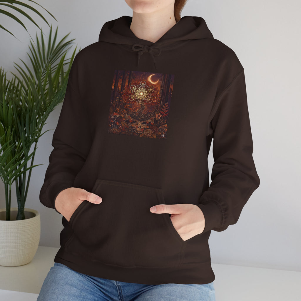 Mystical Moon Forest scene Hoodie | Crescent Moon Owl Night Illustration, deadhead gift