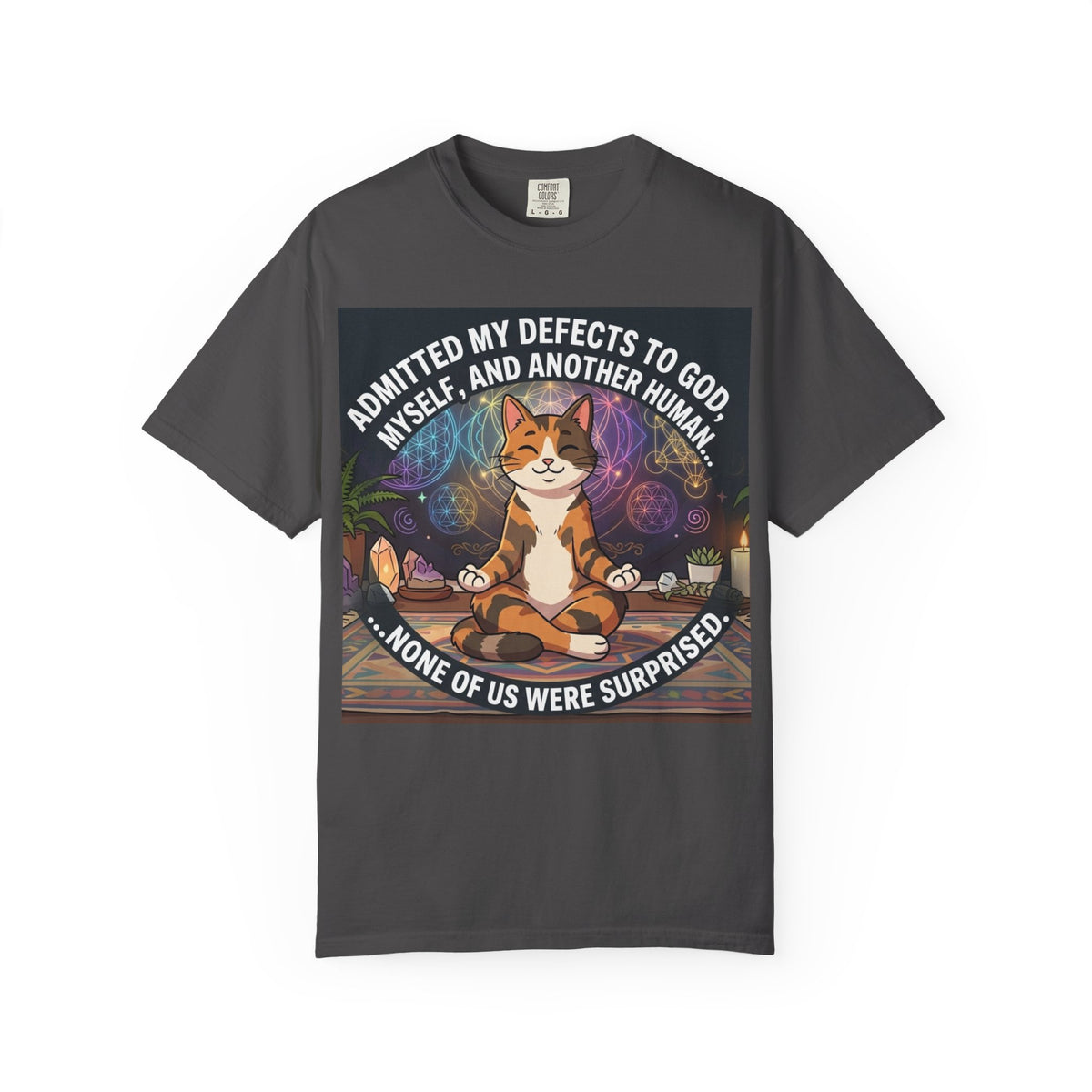 Meditating Cat Yoga T-Shirt Admitted My Defects Funny Spiritual Tee, NA Recovery Tee, Spiritual Principle